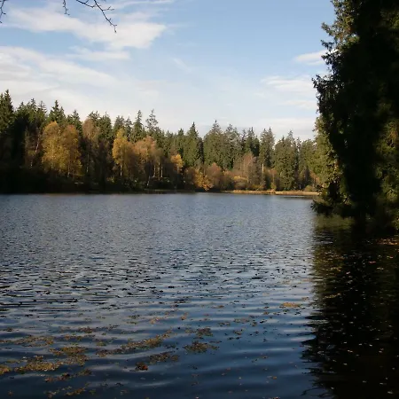 Arnika Inklusive Waeschepaket Braunlage