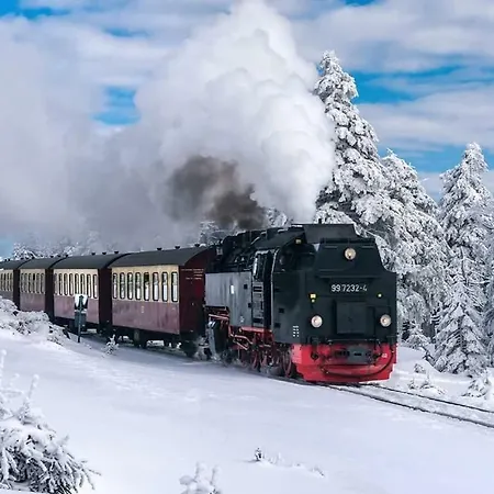 Arnika Inklusive Waeschepaket * Braunlage