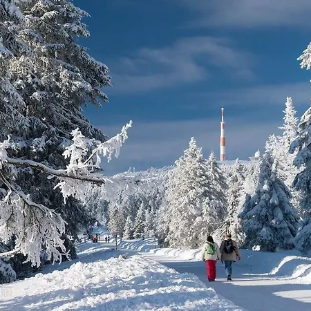 Arnika Inklusive Waeschepaket Braunlage